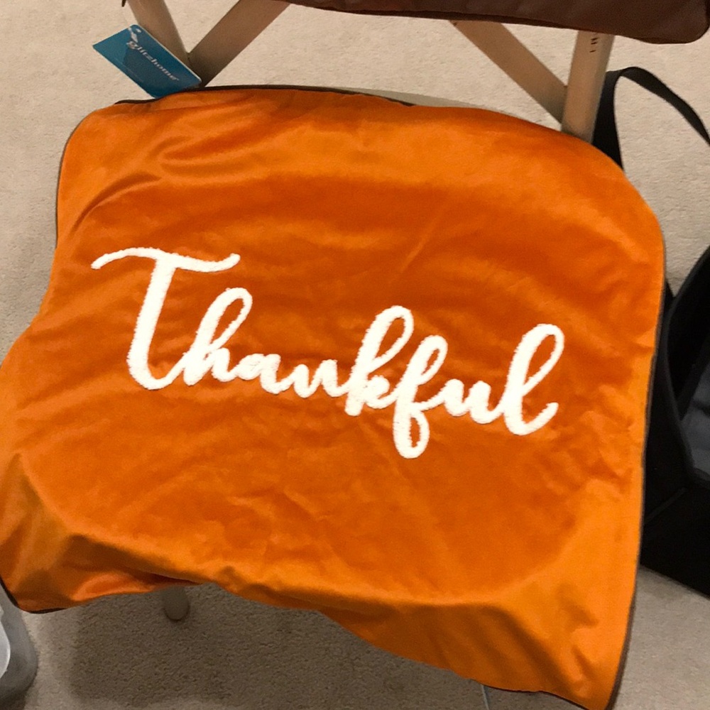 Thankful pillow cover